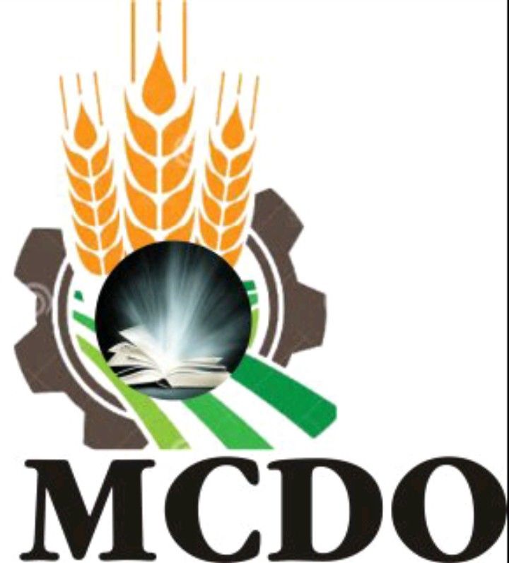 Partner Logo 2